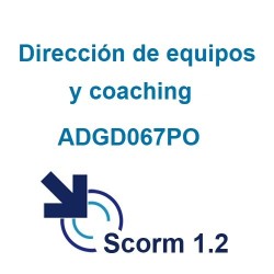 Scorm 1.2.  Licencia. Dirección de equipos y coaching...